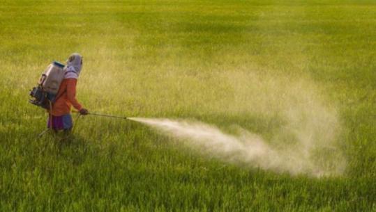 Raporti i KLSH ngre alarmin: Shqipëria mbajti në qarkullim 10 pesticide të ndaluara nga BE-ja, për 14 të tjera kufijtë ishin më të lartë se në Europë!