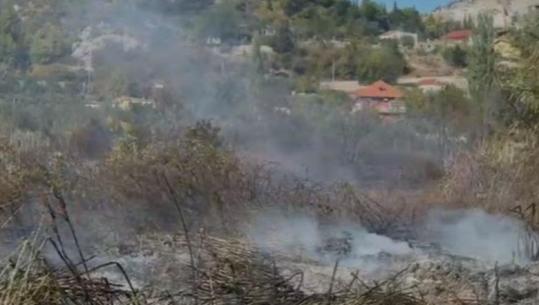 Zjarr në Pllanë të Lezhës, flakët i afrohen banesave! Digjen ferra dhe pemëtari