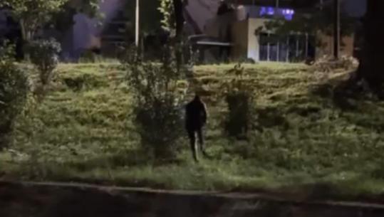‘Ik, ik, ik’- Përplasje mes 2 grupeve në tubimin e dhunshëm në Tiranë, protestuesit përzënë disa përfaqësues të PD-së nga sheshi! Ata kalojnë Lanën dhe ja mbathin me vrap