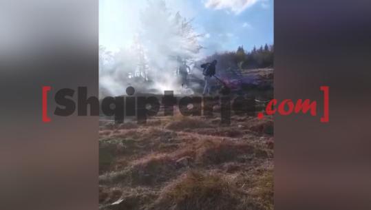 Zjarri përfshin masivin pyjor të Surroit në Kukës, djeg sipërfaqe të konsiderueshme me pisha dhe ah! Vihet nën kontroll nga forcat zjarrfikëse (VIDEO)