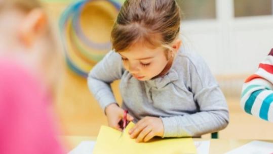 Fier/ 29 vjeçarja dhunoi edukatoren e kopështit se dyshonte se i kishte rrahur djalin 4-vjeçar, flet avokati: Akuzat nisën nga sanitarja, por ajo ndryshoi dëshminë! 