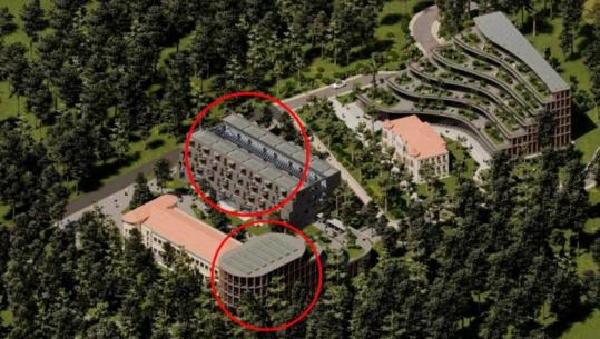 Vijon prerja e pishave në ambientet e Universitetit të Korçës, pedagogu ngre alarmin: Dëm i madh mjedisor! (VIDEO)