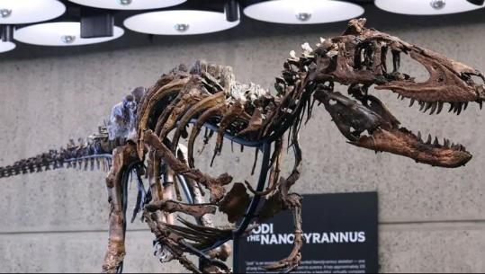 Tre metra i gjatë, skeleti i nanotiranit shitet për 47.3 milionë dollarë në ankand në Nju Jork