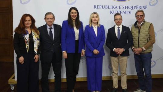 Takimi me eurodeputetët, Ina Zhupa: Kërkojmë qeveri tranzitore pa Edi Ramën