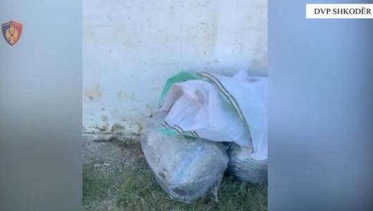 Shkodër/ Goditet grupi i trafikut të drogës, 4 në pranga! Sekuestrohen 265 kg kanabis dhe dy mina antitank