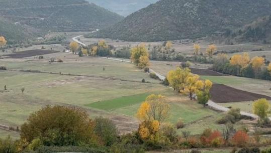 Nis edicioni i tetë i kolonisë së piktorëve, së shpejti çelet galeria e arteve pamore! Arben Kristani: Kolonia, nga rrugët më të bukura për t'u pikturuar