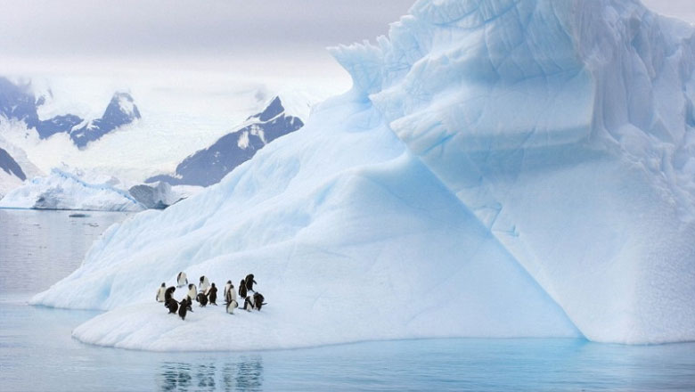 Shkrirja akullit në Artik, rekord në 39 vitet e fundit