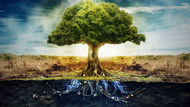 'Pema e re e jetës', shkencëtarët ndryshojnë pemën e evolucionit Darvin