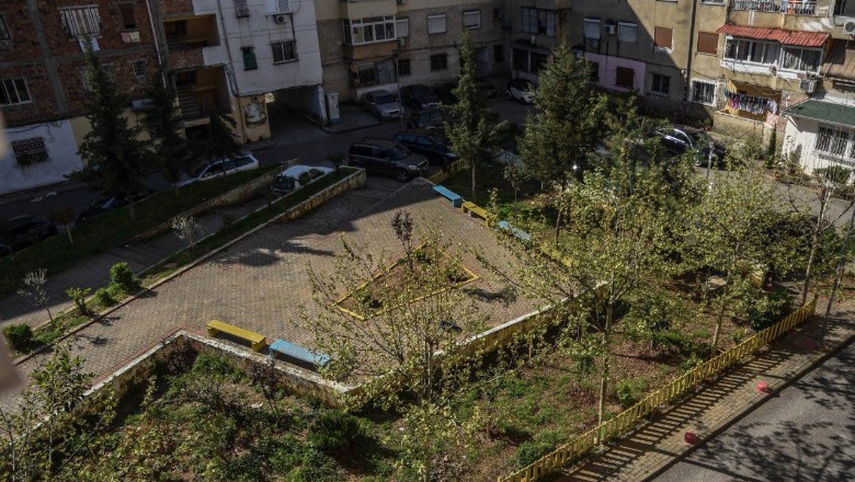 Banorët në Tiranë mbjellin 70 pemë, shihni si e kanë transformuar totalisht hapësirën para pallatit