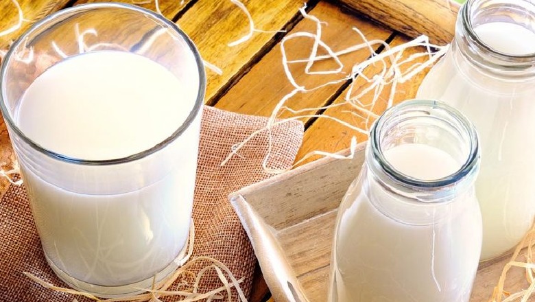 Kur duhet pirë qumështi – Në mëngjes apo në mbrëmje?