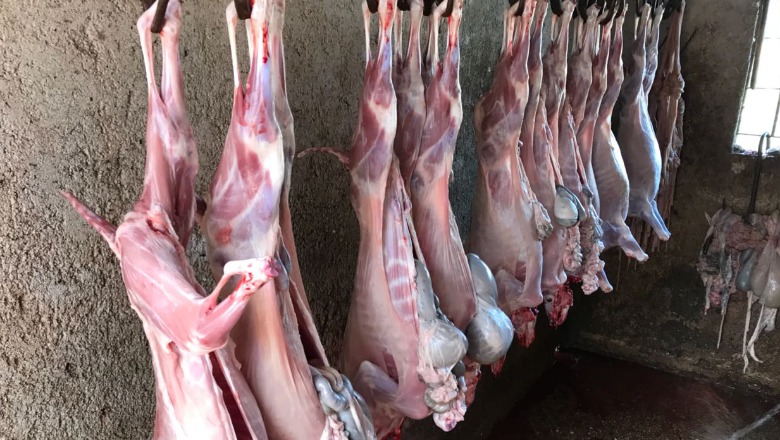 Sekuestrim rekord/ AKU bllokon 10 ton mish në Elbasan, dyshohet i kontaminuar