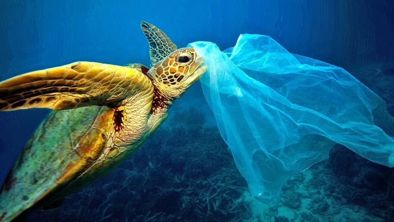 Raporti i WWF: Mesdheu, deti më i ndotur nga plastika, turistët lënë pas trashëgimi toksike