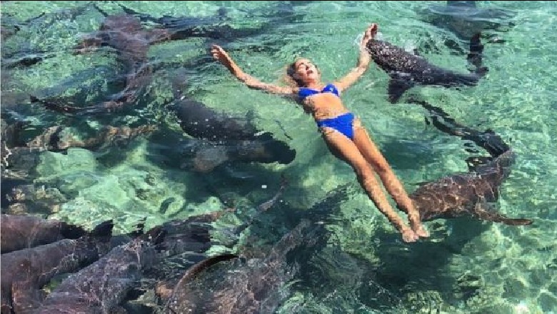 Çmimi i një fotoje për Instagram, modelja e pëson keq pas notit me peshkaqenët