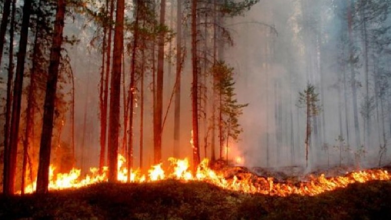 Suedi, situate alarmante, zjarret pushtojn malet