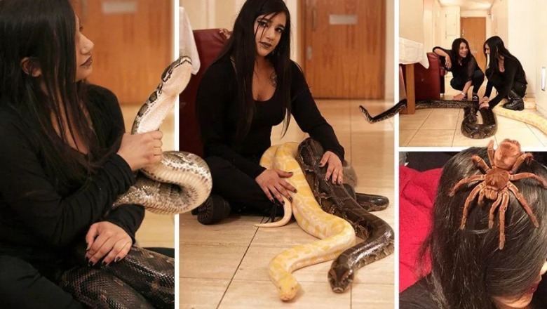 Njihuni me adoleshenten e ‘çmendur’ që jeton me 16 gjarpërinjve: Më kafshojnë gjithë kohës