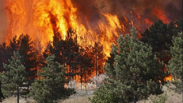 IGJEUM ngre alarmin: Shkodra, Dibra, Korça dhe Gjirokastra të rrezikuara nga zjarret në pyje