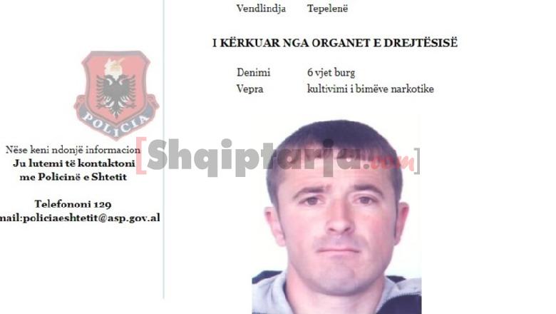 Arrestohet në Gjirokastër i shumëkërkuari për kultivim droge (Emri)