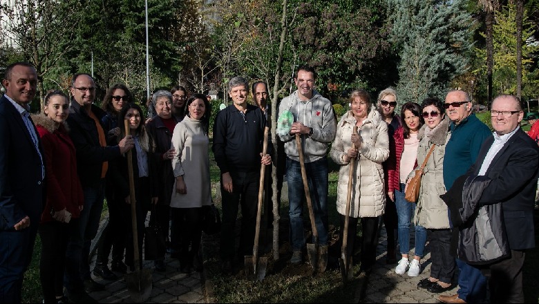 Veliaj: Deri në 2030-ën mbjellim 2 mln pemë, për të kompensuar 200 mijë makina që ka sot Tirana