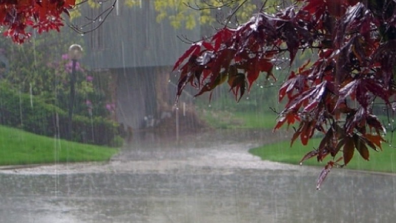 Parashikimi i motit/ Nesër shtrëngata shiu dhe reshje dëbore