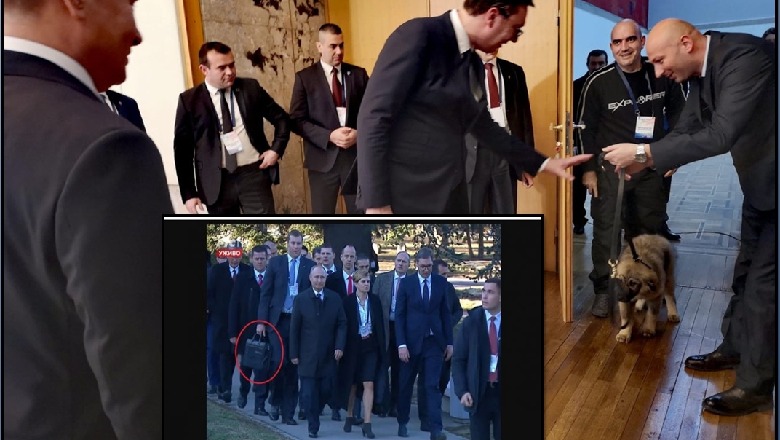 Misteri i çantës së zezë, qeni i Sharrit dhuratë nga Vuçiç dhe qëndrimi për Kosovën/ Ja çfarë ndodhi në vizitën e Putin në Beograd (FOTO)