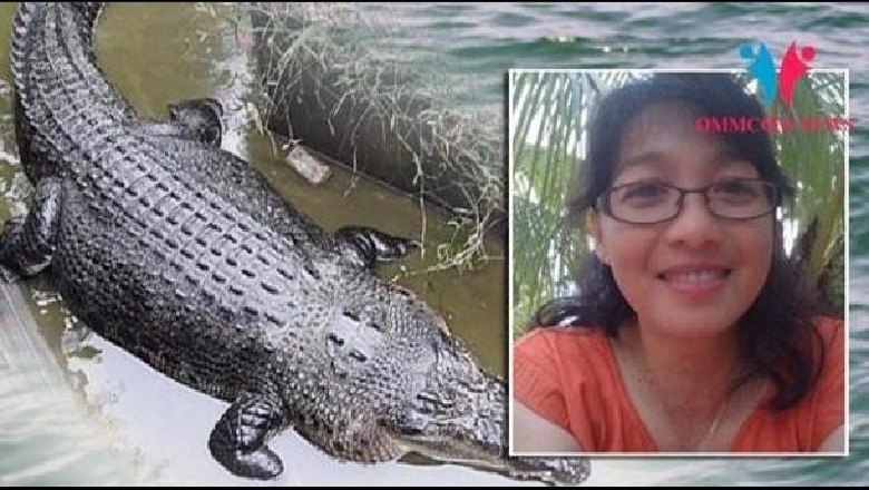 Po ushqente një 'Merry', si përfundoi në nofullat e krokodilit shkencëtarja 44-vjeçare (VIDEO)