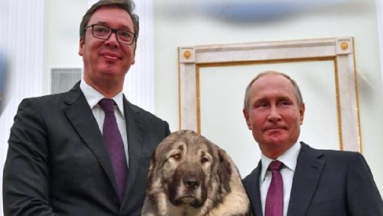 ‘Qeni i Sharrit’, i Rusisë në Ballkan!