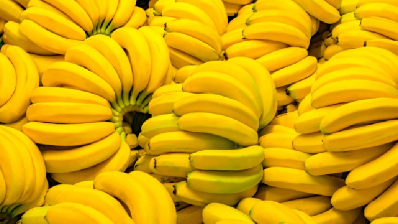 Lulëzon tregtia me Kolumbinë, ja produktet më të kërkuara përveç bananeve