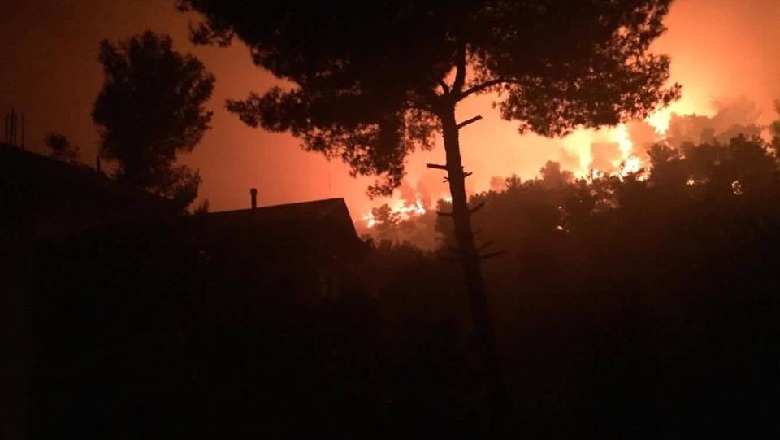 Lezhë, përfshihet nga zjarri masivi pyjor në fshatin Gjadër