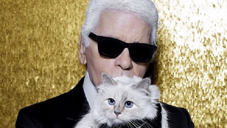 Macja e Karl Lagerfeld është një miliardere, trashëgimtarja e vetme e stilistit të Chanel 