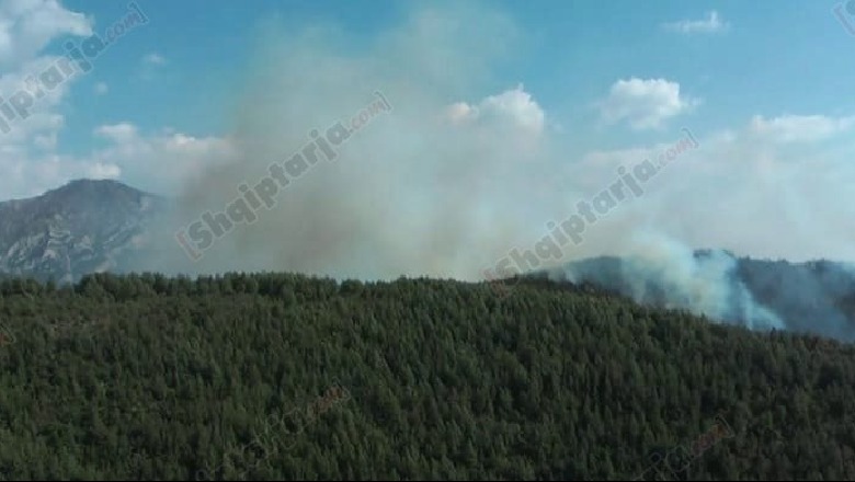 Zjarr në Fushë-Krujë, terreni i vështirë pengon ndërhyrjen e zjarrfikëses
