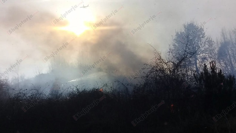 Krujë/ Digjen dy hektarë tokë, dyshohet zjarr i qëllimshëm (FOTO)