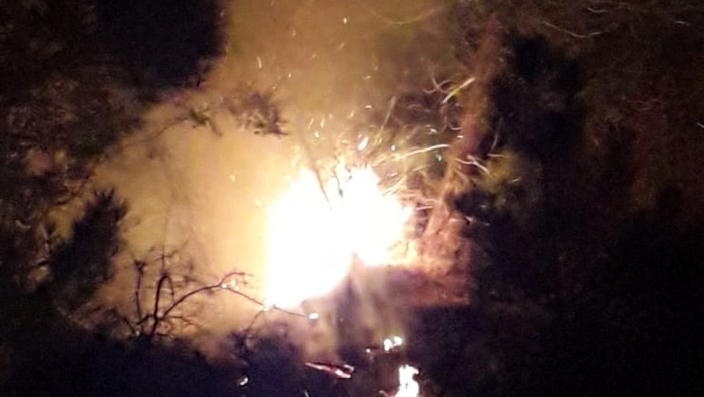 Zjarr në Durrës, flakët djegin disa hektarë me pisha në pyllin e Ishmit