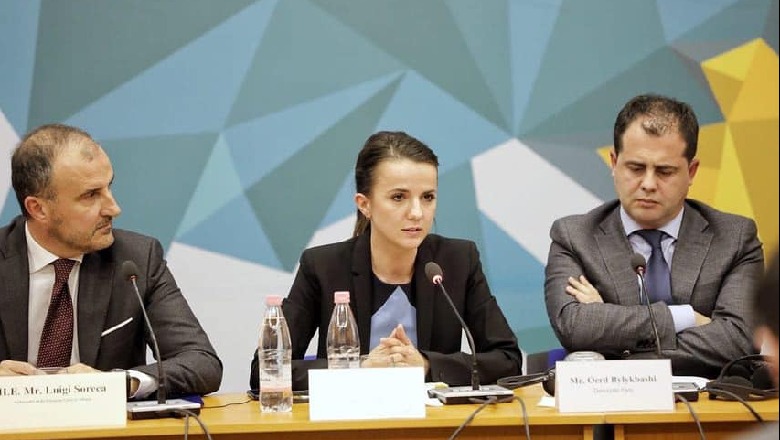 Soreca bashkon Rudina Hajdarin me ish-kolegët e saj demokratë