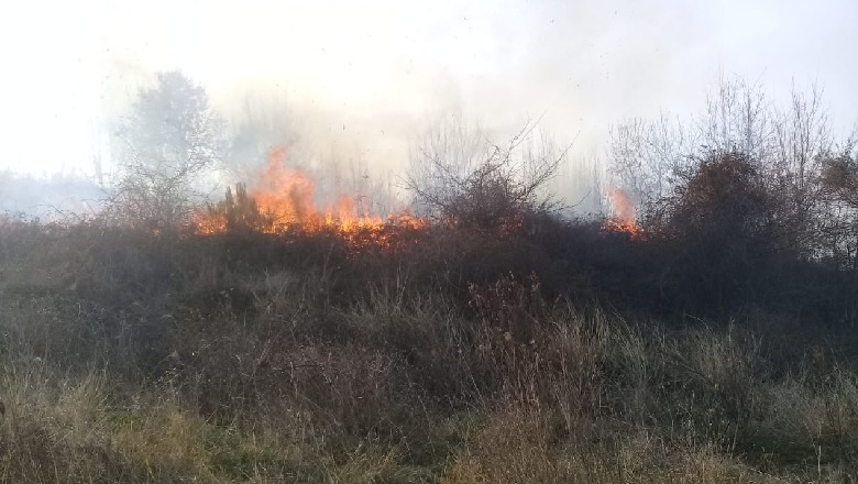 Tjetër zjarr i qëllimshëm, digjen dy hektarë shkurre e ferra në Krujë