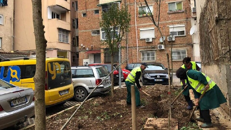 Tiranës i shtohet gjelbërimi, rikualifikohen hapësirat e gjelbërta edhe nëpër lagje