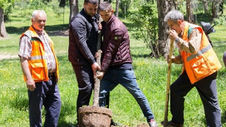 Dëmtuan padashje parkun, Besniku dhe Auloni nga Kosova surprizojnë me atë që bënë