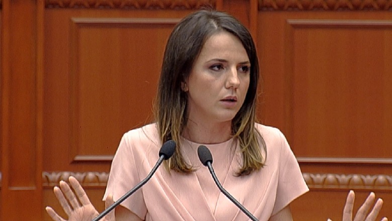 Meta sulmoi ambasadorët/ Rudina Hajdari: Ndihem e  turpëruar, kërkoj falje për këtë çmenduri