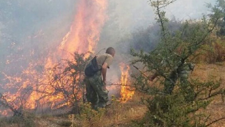 Zjarr në Gjirokastër/ Flakët vënë në rrezik stane bagëtish, banesa dhe biznese! Situata kritike 