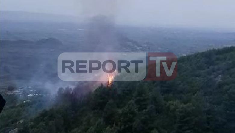 Merr flakë pylli në Borizanë të Krujës, zjarrfikësit tentojnë ta shuajnë me mjete rrethanore