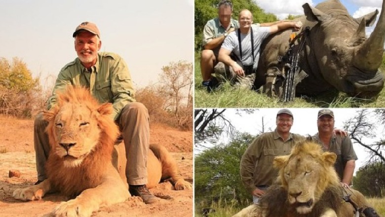 Britanikët ofrojnë paketë turisike 'dy në një' për vrasësit e kafshëve në Afrikë (FOTO)