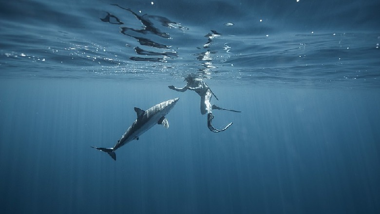 Njihuni me njeriun që nuk e hanë peshkaqenët (FOTO)