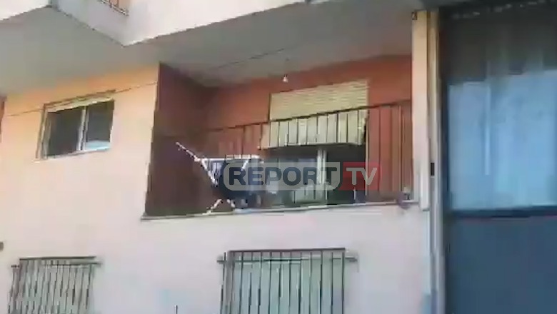 Detajet/ Vrima plumbash, e grila të prishura, brenda banesës ku ndodhi vrasja në Kavajë (FOTO-VIDEO)