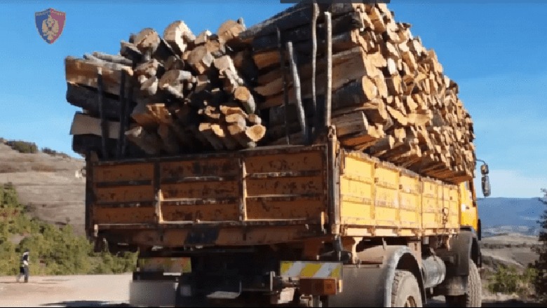 Elbasan- Po transportonin dru me kamionë, vihen nën hetim 6 persona