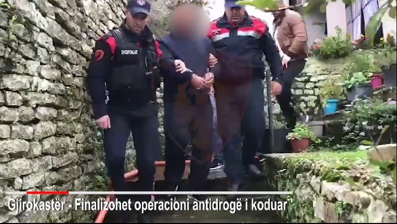 Policia fut në 'trekëndësh' 25 persona që kultivuan 30 parcela me kanabis/ Pranga edhe 'kokës së grupit'