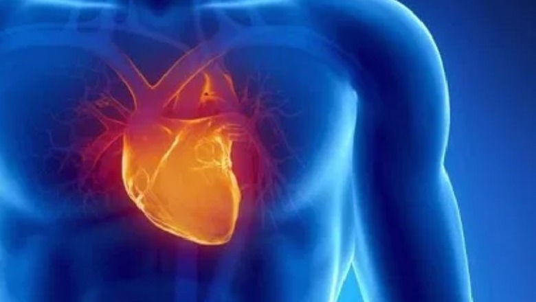 Studimi: Pacientët me sëmundje të zemrës mund të realizojnë operacione invazive
