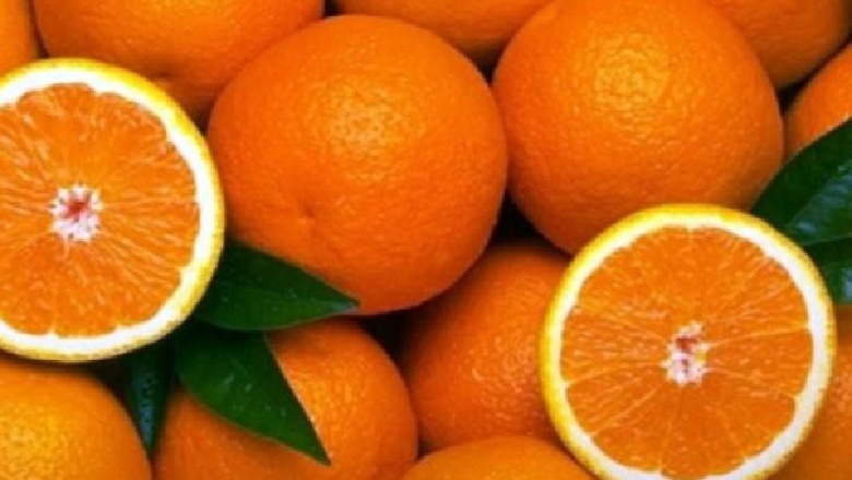 Shqipëria ia kalon edhe Francës për prodhimin e portokalleve