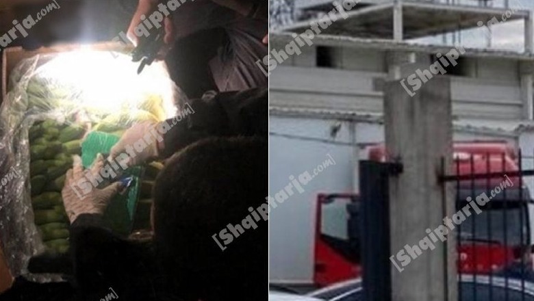 1.3 ton kokainë hyri në Shqipëri mes kontejnerëve me banane! Në dijeni DEA, Italia e SPAK...EMRAT e 4 shqiptarëve të arrestuar në Maqedoninë e Veriut /FOTOT