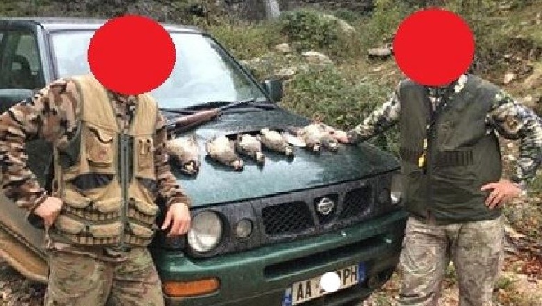 'Masakër' në pyjet e Shqipërisë, dhjetëra gjahtarë shfrytëzojnë situatën nga COVID-19 për të vrarë kafshë dhe shpendë të rralla