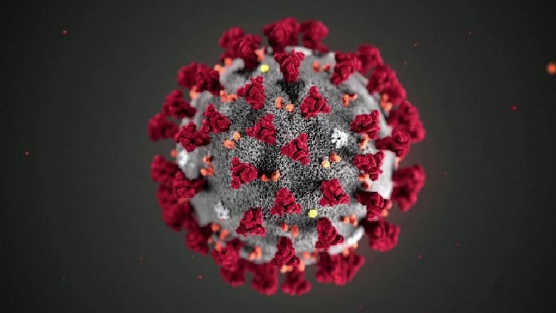 Covid-Studiuesit në Florida: Koronavirusi ka evoluuar dhe po i infekton më lehtë qelizat njerëzore