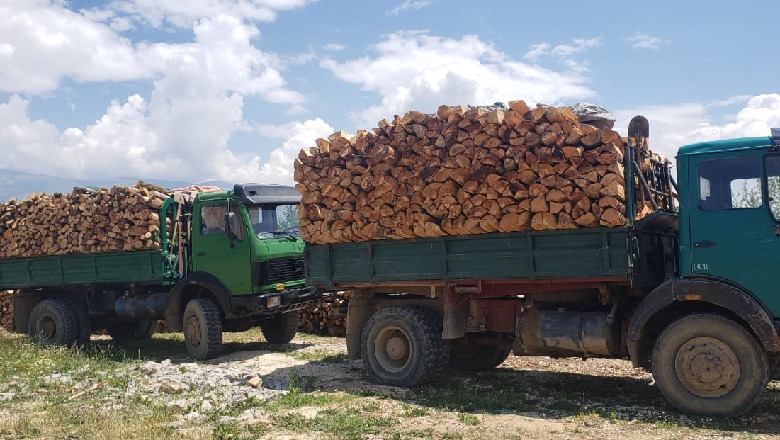 Prerje e paligjshme pyjesh në Vërdovë të Korçës, arrestohet një person e vihen nën hetim 5 teknikë e inxhinjerë